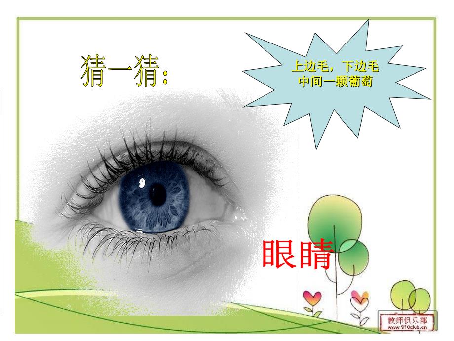 小学生预防近视公开课课件.ppt_第1页