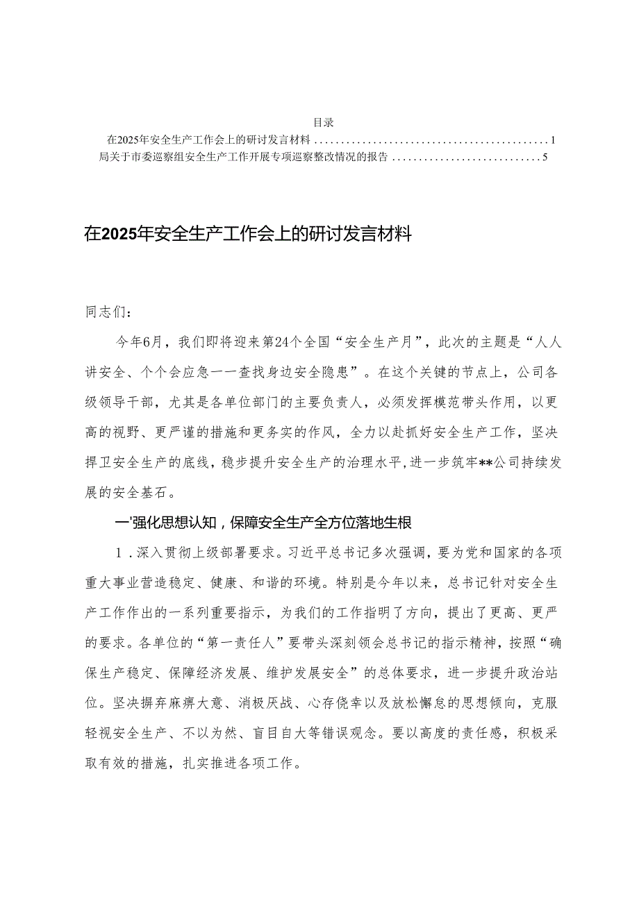 在2025年安全生产工作会上的研讨发言材料+巡察组安全生产工作开展专项巡察整改情况的报告.docx_第1页