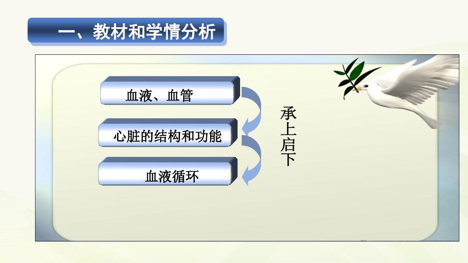 心脏的结构和功能说课课件.ppt_第3页