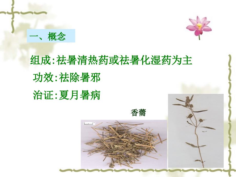方剂学第五章祛暑剂ppt课件.ppt_第2页