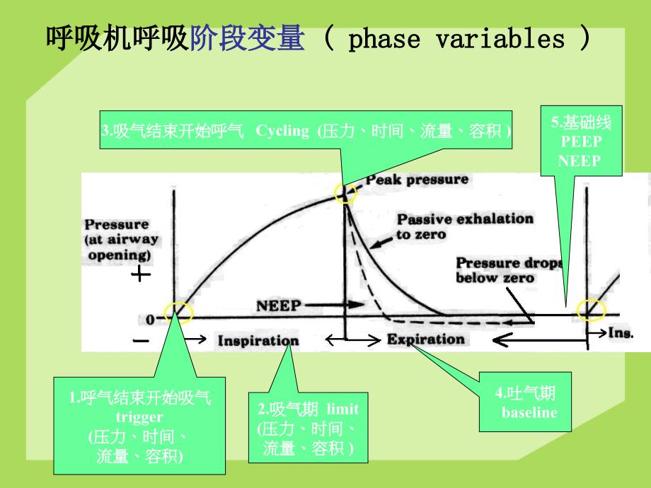 常见呼吸机模式与参数调节.ppt_第3页