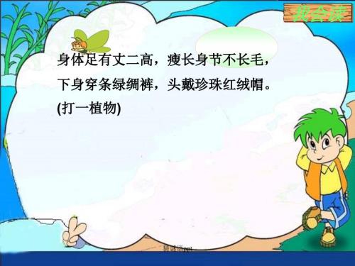 猜谜语精美课件.ppt
