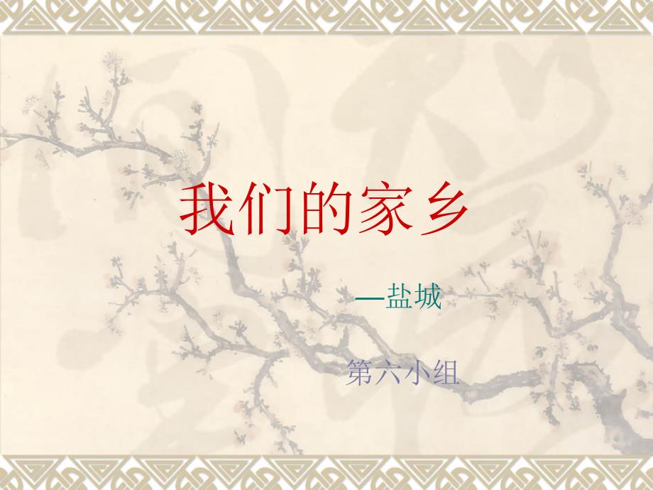 我们的家乡盐城.ppt.ppt_第1页