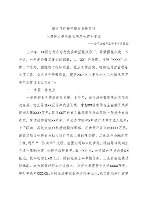 分行2025年上半年工作报告.docx