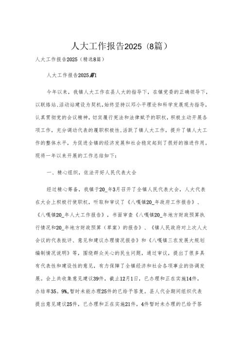人大工作报告2025（8篇）.docx