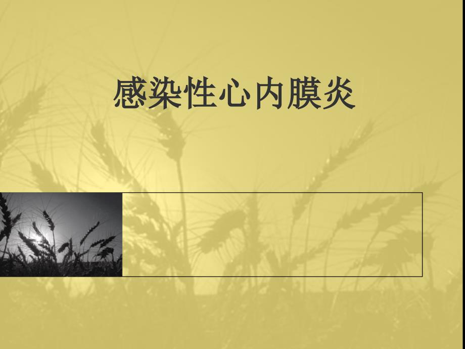 感染性心内膜炎.ppt.ppt_第1页