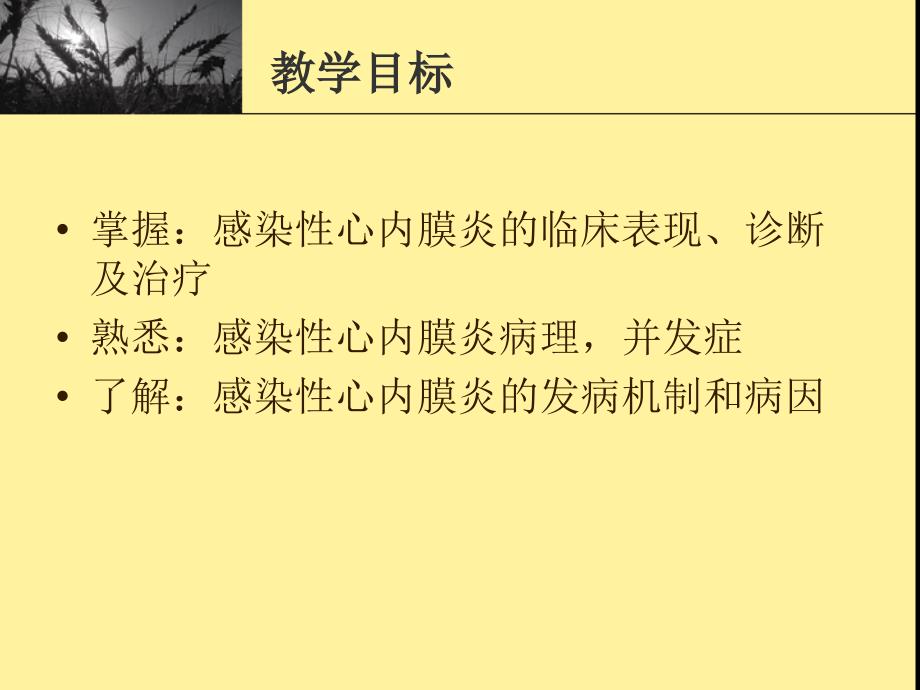 感染性心内膜炎.ppt.ppt_第2页