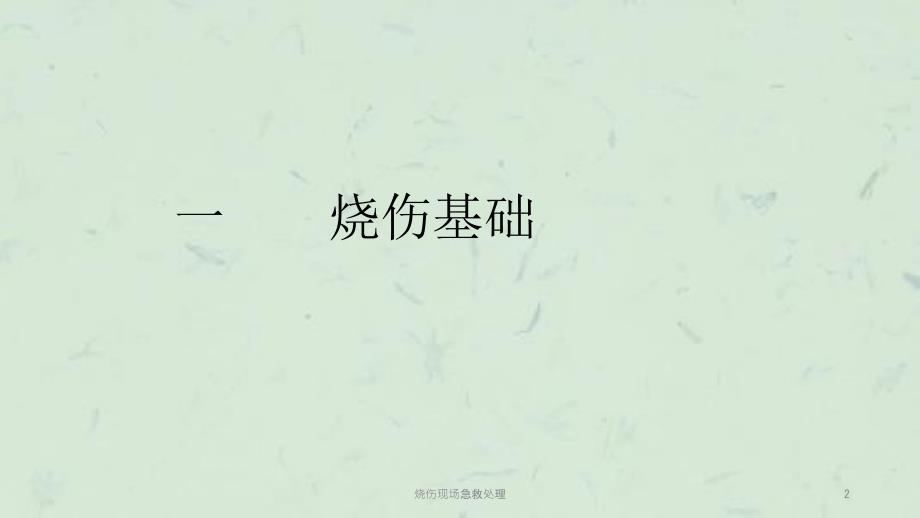 烧伤现场急救处理课件.ppt_第2页