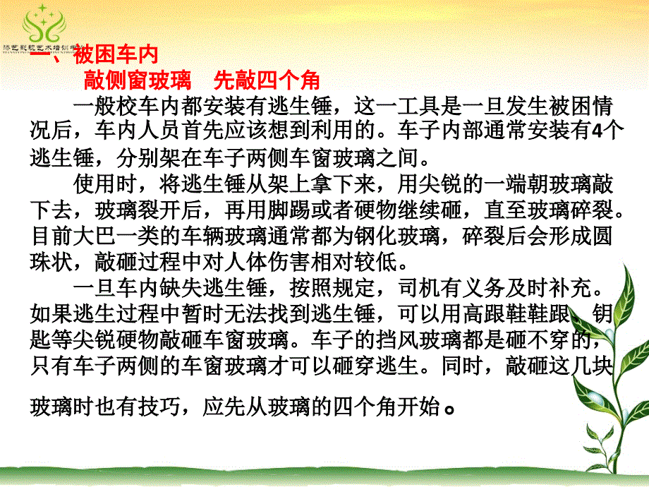 校车安全逃生技能培训学习.ppt_第3页