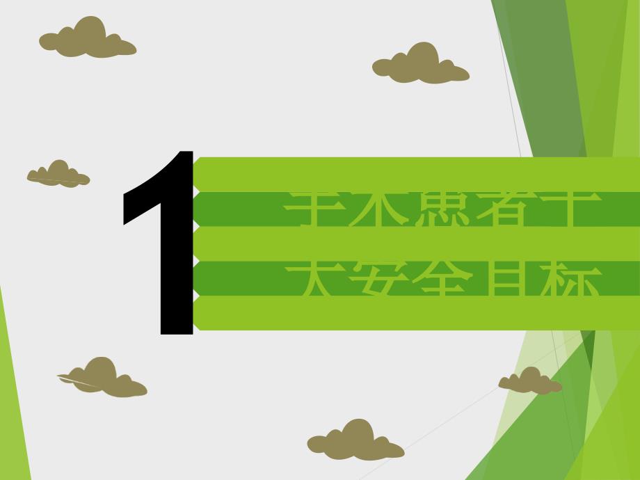 手术患者十大安全目标.ppt_第1页