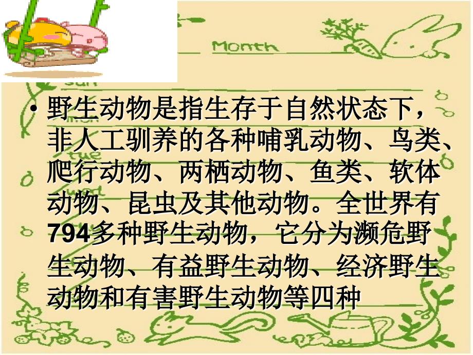 幼儿园保护野生动物ppt.ppt_第2页