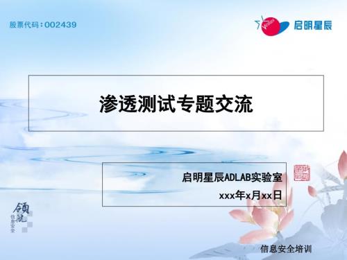 渗透测试技术介绍.ppt