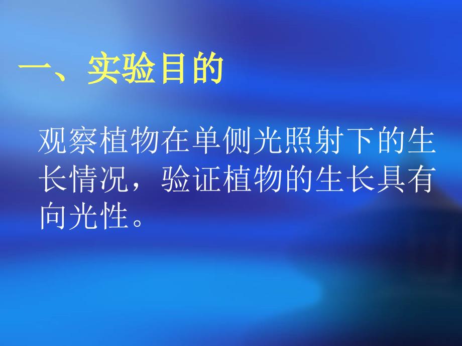 植物向光性实验PPT课件.ppt_第2页