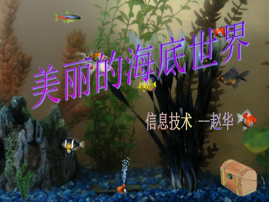 小学信息技术美丽的海底世界.ppt_第1页
