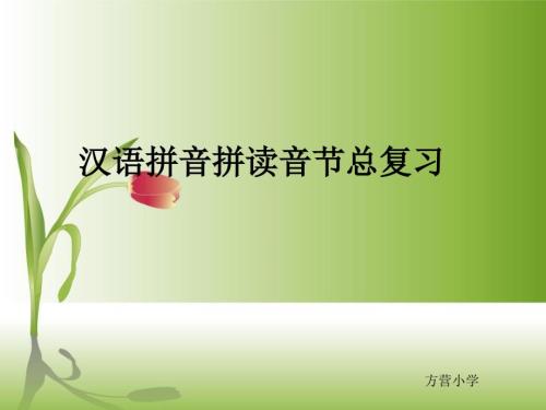 汉语拼音拼读音节总复习.ppt