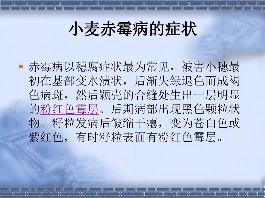 小麦赤霉病的症状PPT课件.ppt_第2页