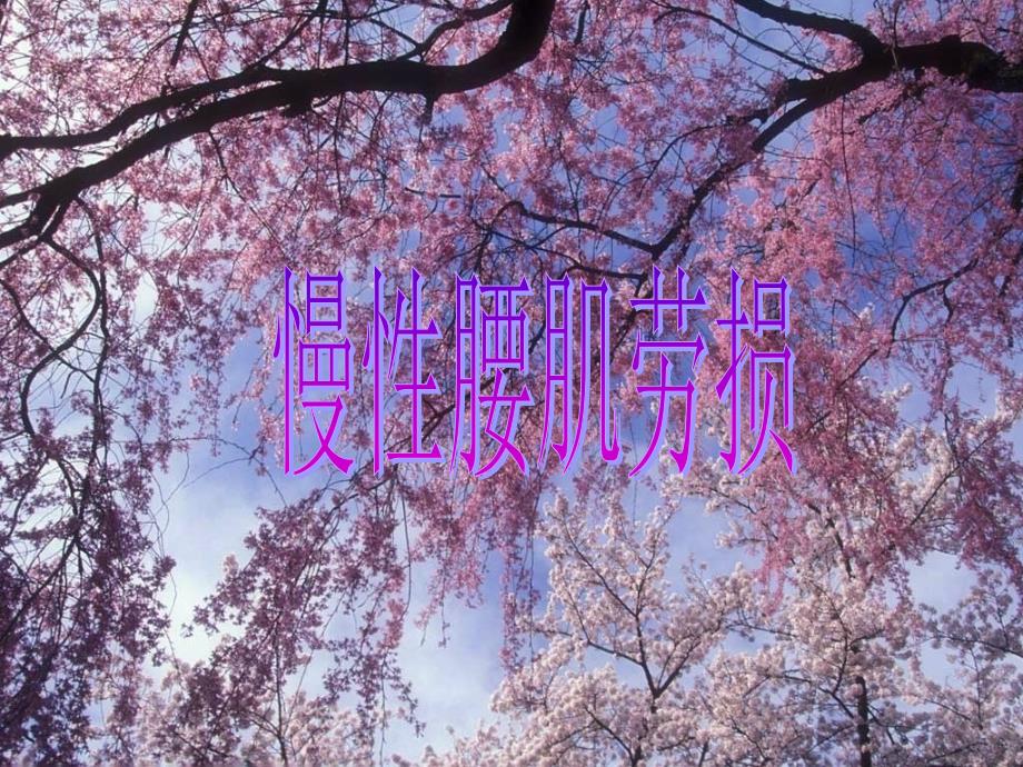 慢性腰肌劳损PPT课件.ppt_第1页