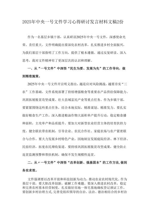 2025年中央一号文件学习心得研讨发言材料文稿2份.docx