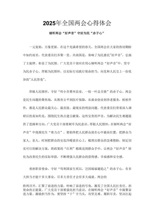 班子2025年全国两会发言稿6个精选.docx