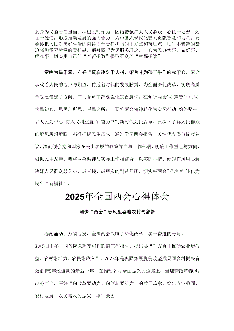 班子2025年全国两会发言稿6个精选.docx_第2页