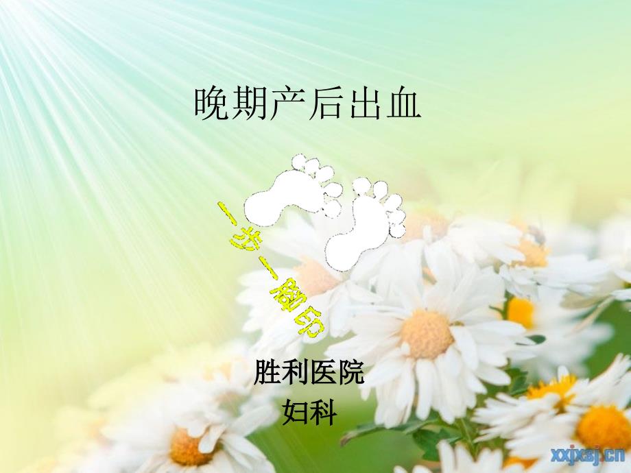 晚期产后出血PPT课件.ppt_第1页