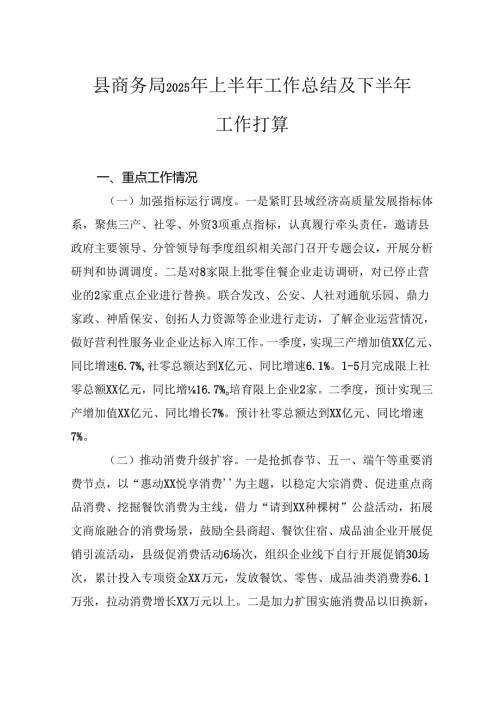县商务局2025年上半年工作总结及下半年工作打算.docx
