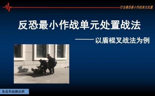 最小作战单元以盾棍叉战法为例.ppt