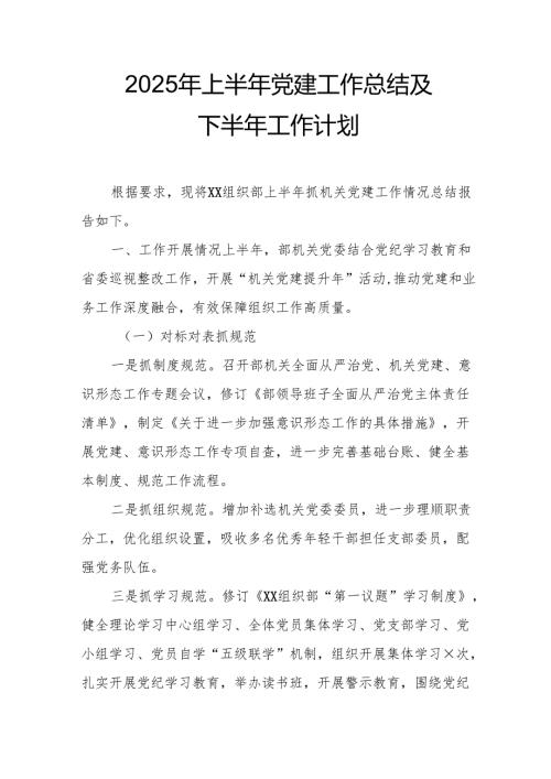 开展2025年上半年《党建工作总结》及下半年工作计划（汇编9份）.docx
