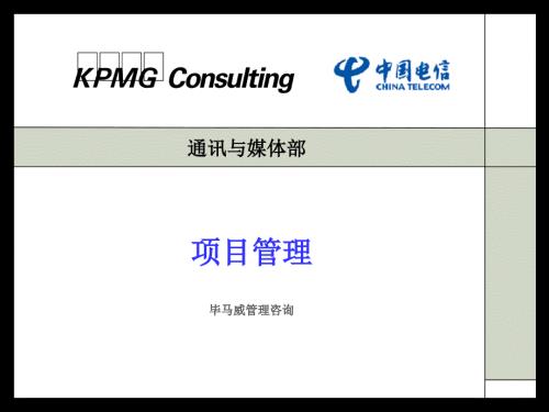 毕马威管理咨询PPT课件.ppt