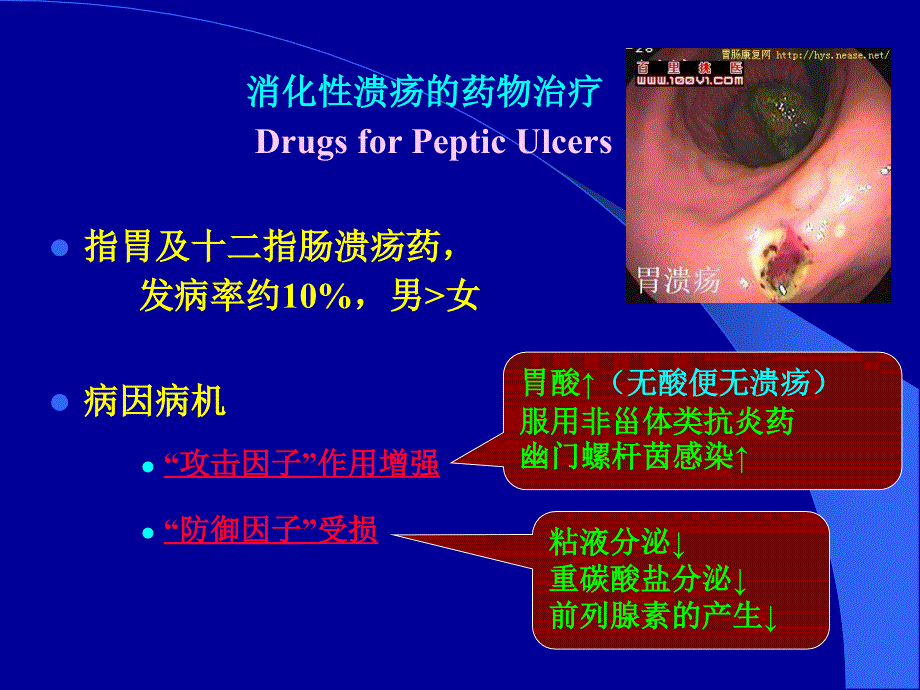 消化系统用药PPT课件.ppt_第3页