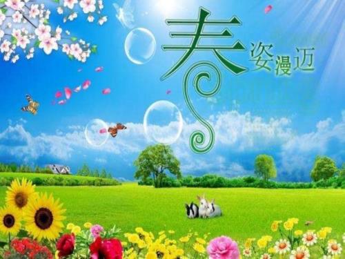 微观经济学ppt课件.pptx