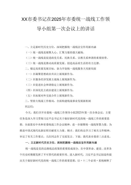 XX市委书记在2025年市委统一战线工作领导小组第一次会议上的讲话.docx