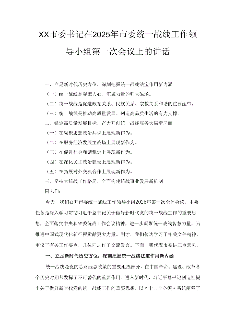 XX市委书记在2025年市委统一战线工作领导小组第一次会议上的讲话.docx_第1页