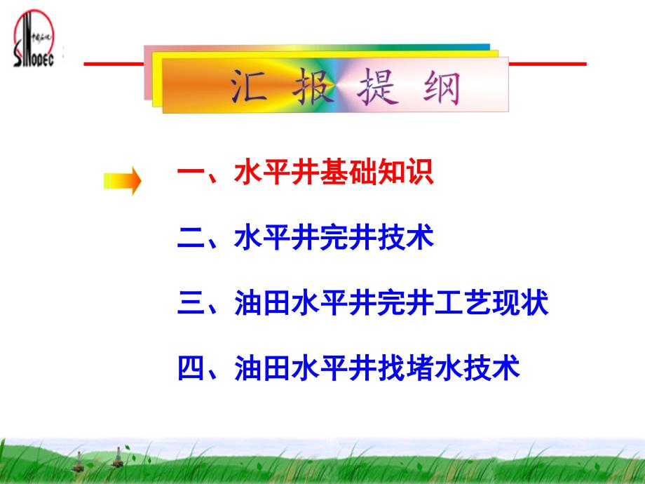 水平井完井及找堵水技术.ppt_第2页