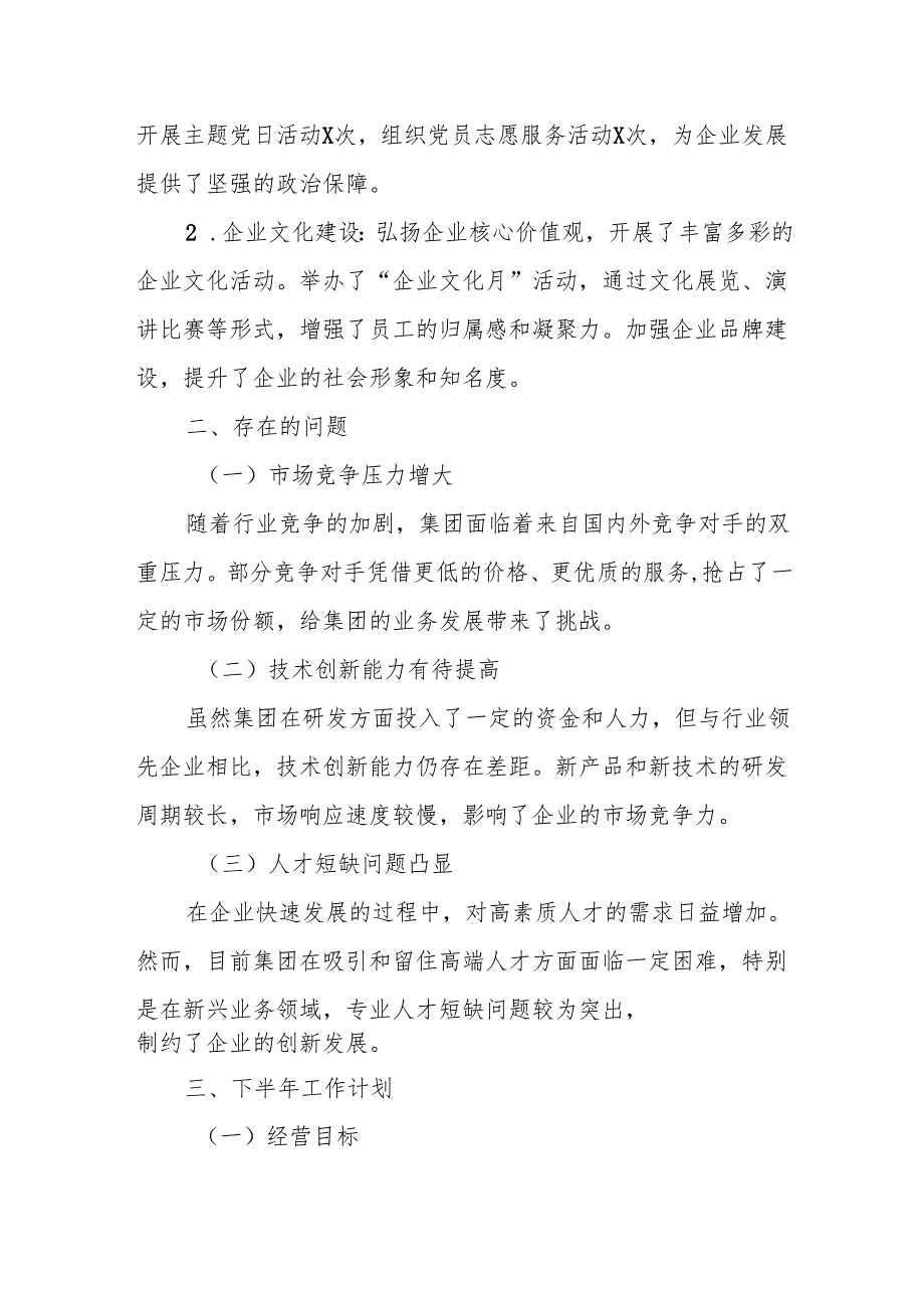 XX集团2025年上半年工作总结暨下半年工作计划.docx_第3页