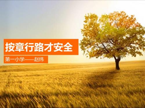 按章行路才安全PPT课件.ppt