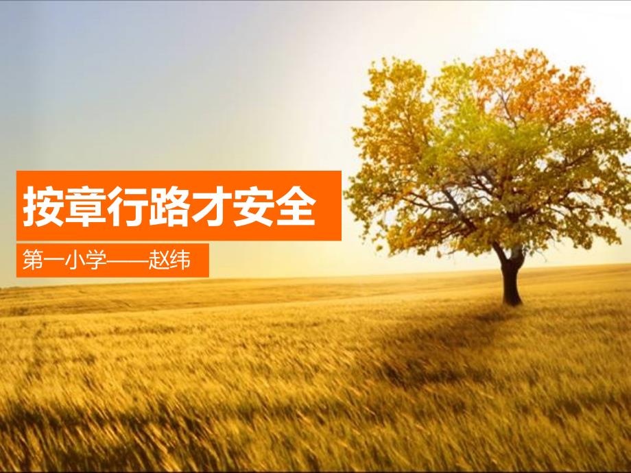 按章行路才安全PPT课件.ppt_第1页