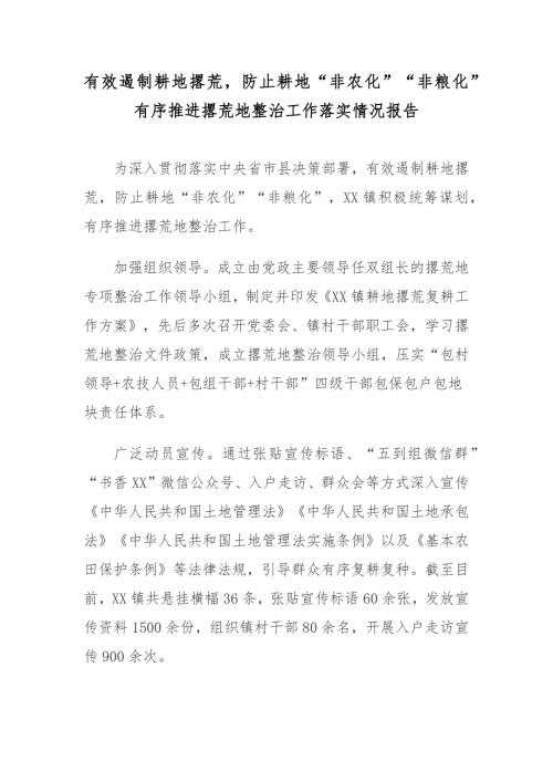 有效遏制耕地撂荒防止耕地非农化非粮化有序推进撂荒地整治工作落实情况报告.docx