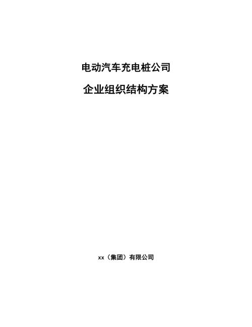 电动汽车充电桩公司企业组织结构方案范文.docx