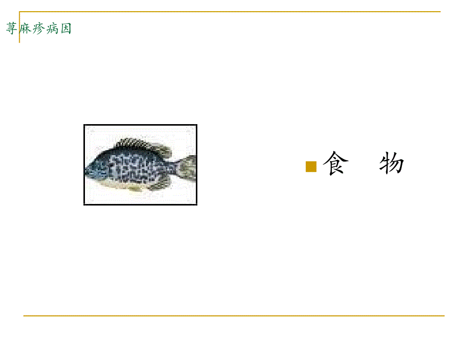 皮肤病荨麻疹.ppt_第3页
