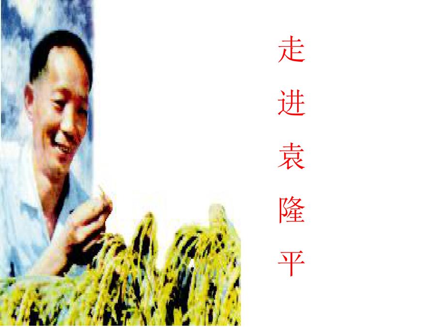 新教材喜看稻菽千重浪课件.ppt_第3页