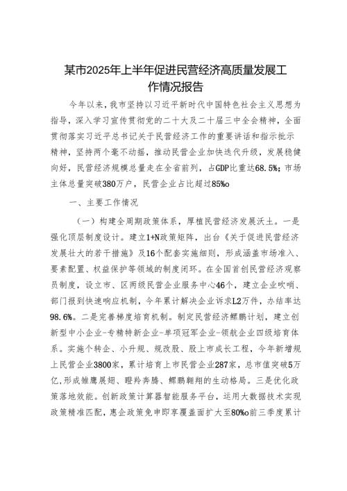 某市2025年上半年促进民营经济高质量发展工作情况报告.docx