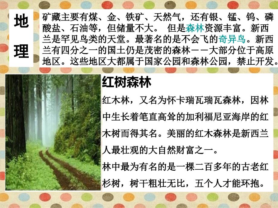 新西兰介绍PPT课件.ppt_第3页