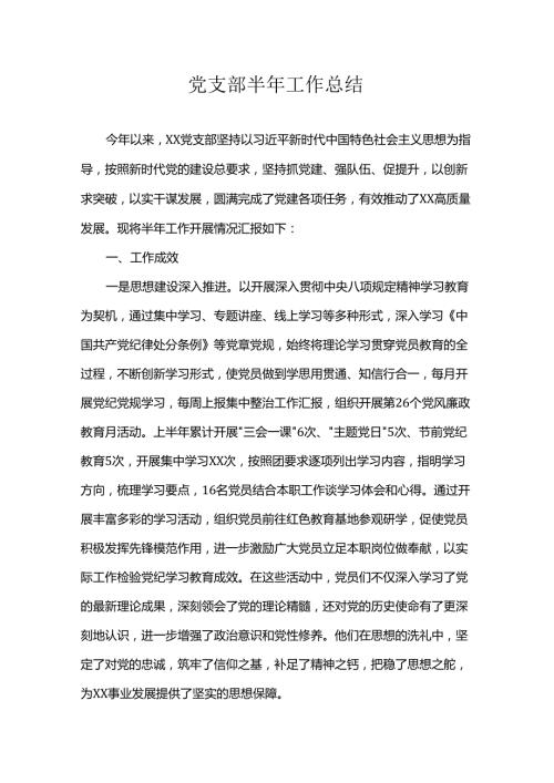 党支部半年工作总结.docx