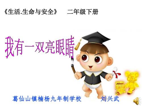 我有一双亮眼睛课件.ppt