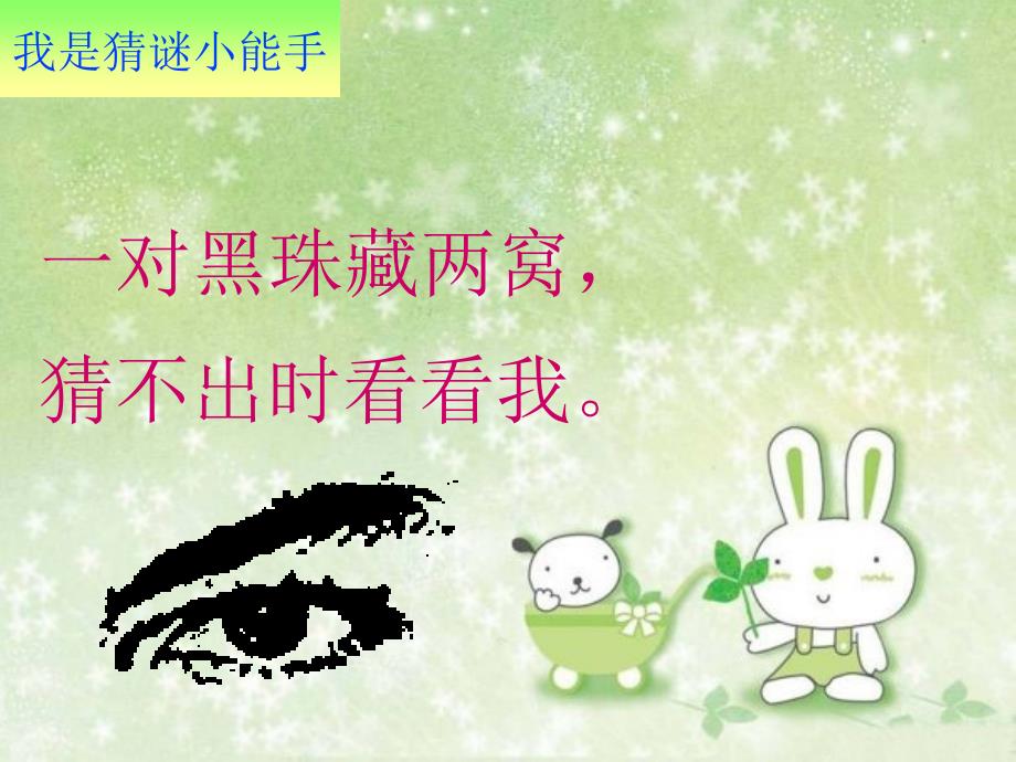 我有一双亮眼睛课件.ppt_第2页