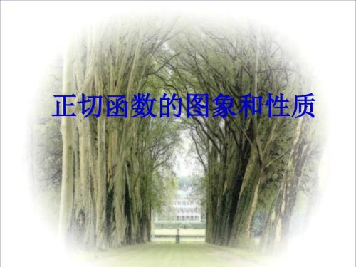正切函数的性质与图像课件.ppt