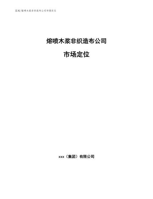 熔喷木浆非织造布公司市场定位参考.docx