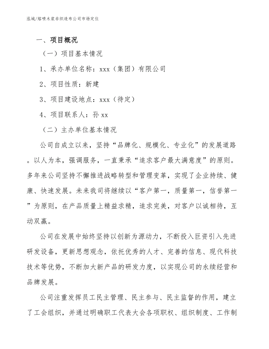 熔喷木浆非织造布公司市场定位参考.docx_第3页