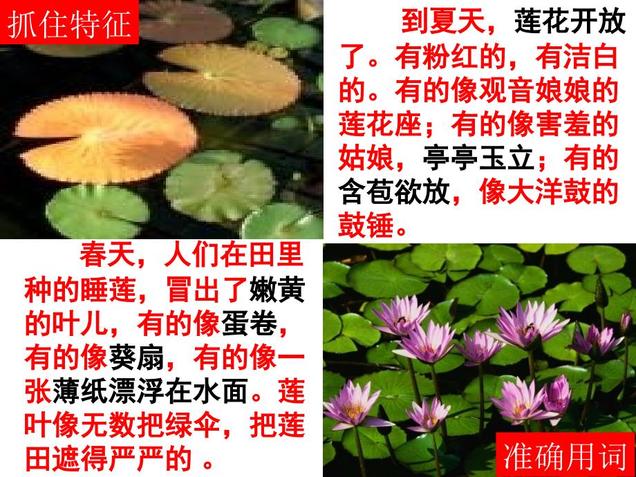 景物描写课件PPT课件.ppt_第3页